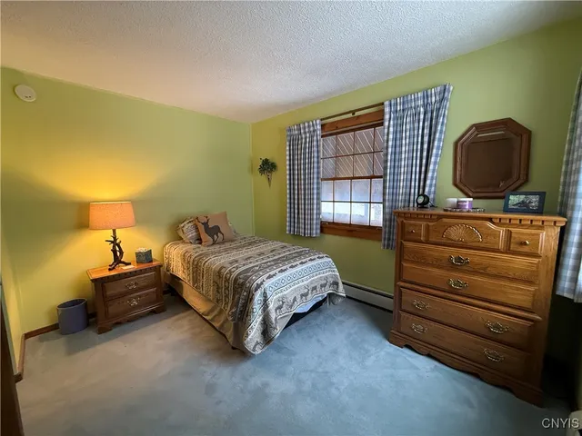 $549,900 | 8782 Buck Point Road, Watson, NY 13367