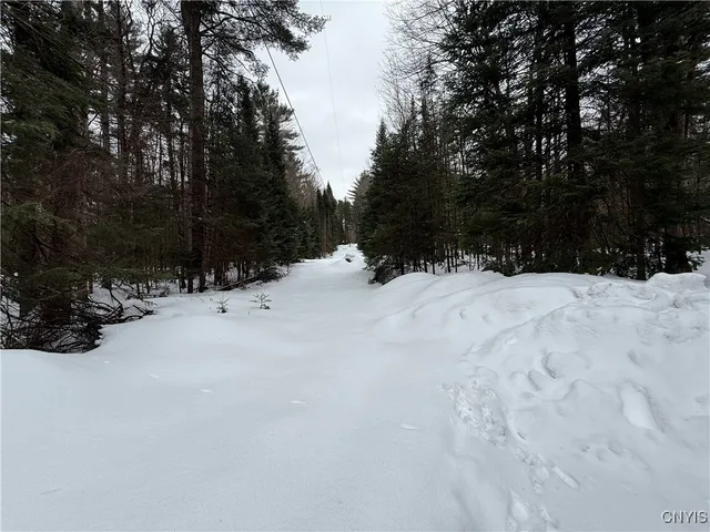 $549,900 | 8782 Buck Point Road, Watson, NY 13367