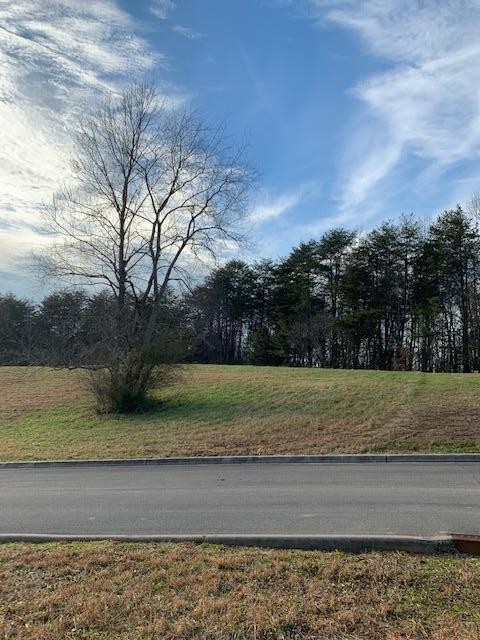 135 Hughes Road Greenback, TN 37742 - Photo 2 of 15