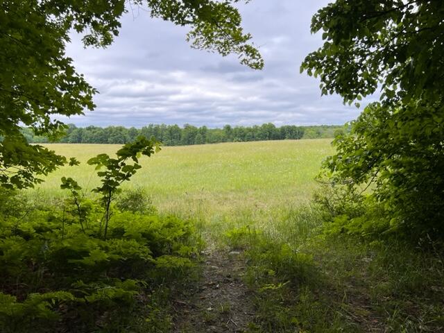 60-acre Munger Road Levering, MI 49755 - Photo 17 of 23 Gallery Image 17