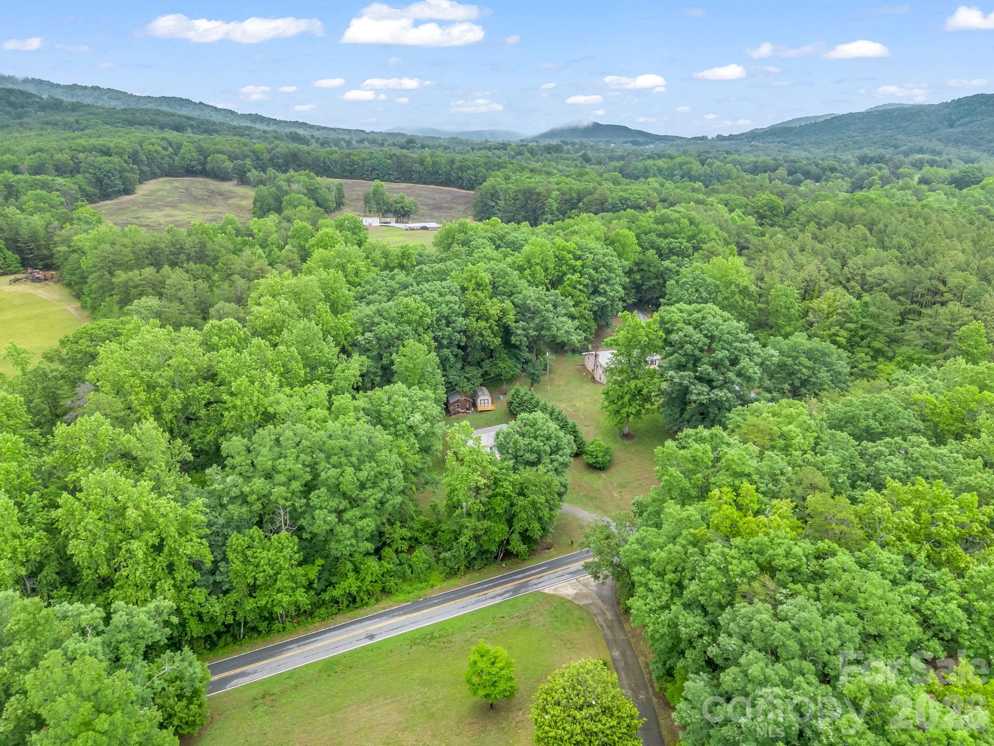 1449 Toney Road Bostic, NC 28018 - Photo 42 of 43 a view of a garden from a yard