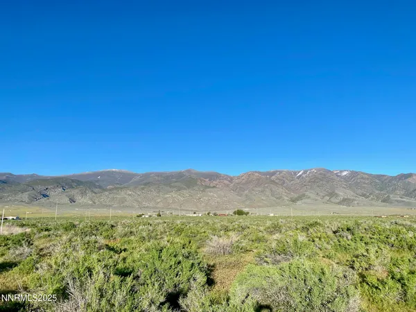 a view of mountain and trees