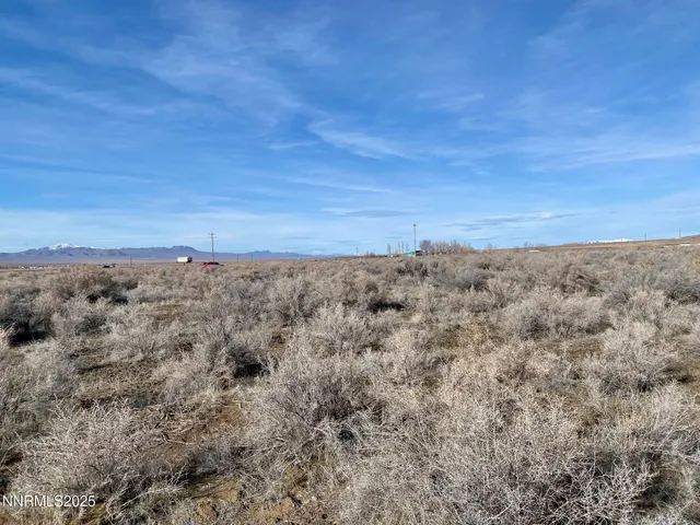 a view of a field with trees in the background