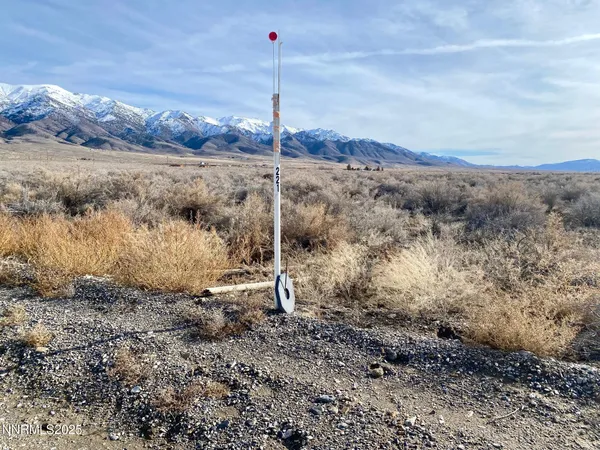 a view of a dry yard with mountain