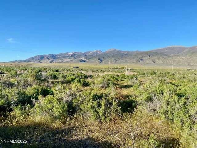 a view of a mountain range with lush green forest