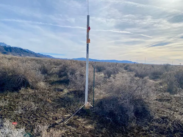 a view of a dry yard