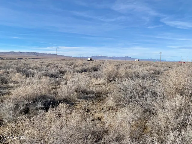 a view of a field with trees in background