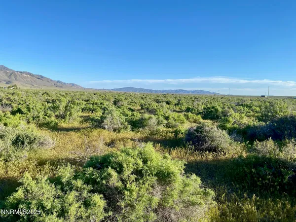 a view of lake with green space