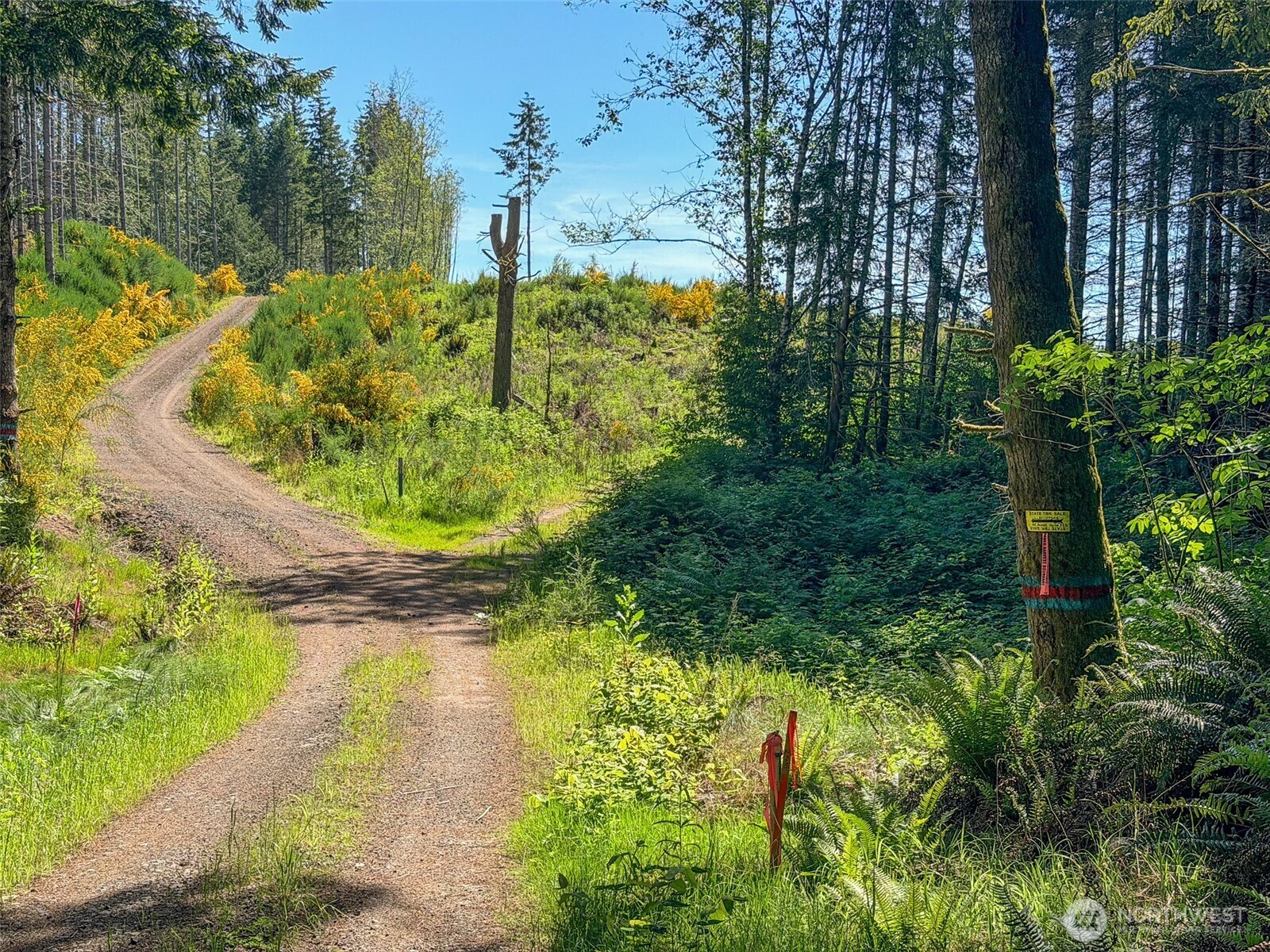1-xxx Andy Cooper Road Port Ludlow, WA 98365 - Photo 11 of 29
