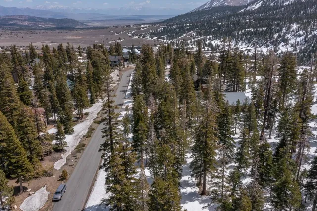 a view of a yard with plants