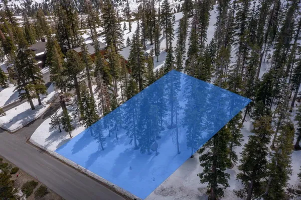 a view of a park with tree s