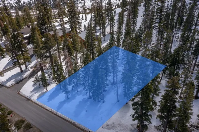 a view of a park with tree s