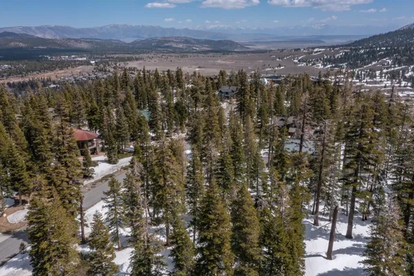 a view of a yard with plants