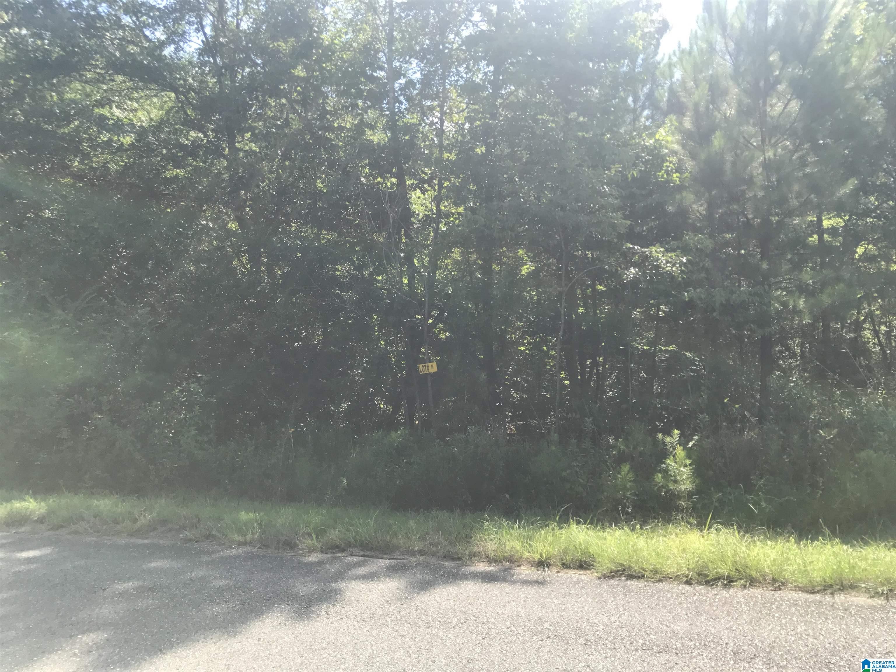 Tract H Mill Creek Road, Unit H Nauvoo, AL 35578 - Photo 5 of 5