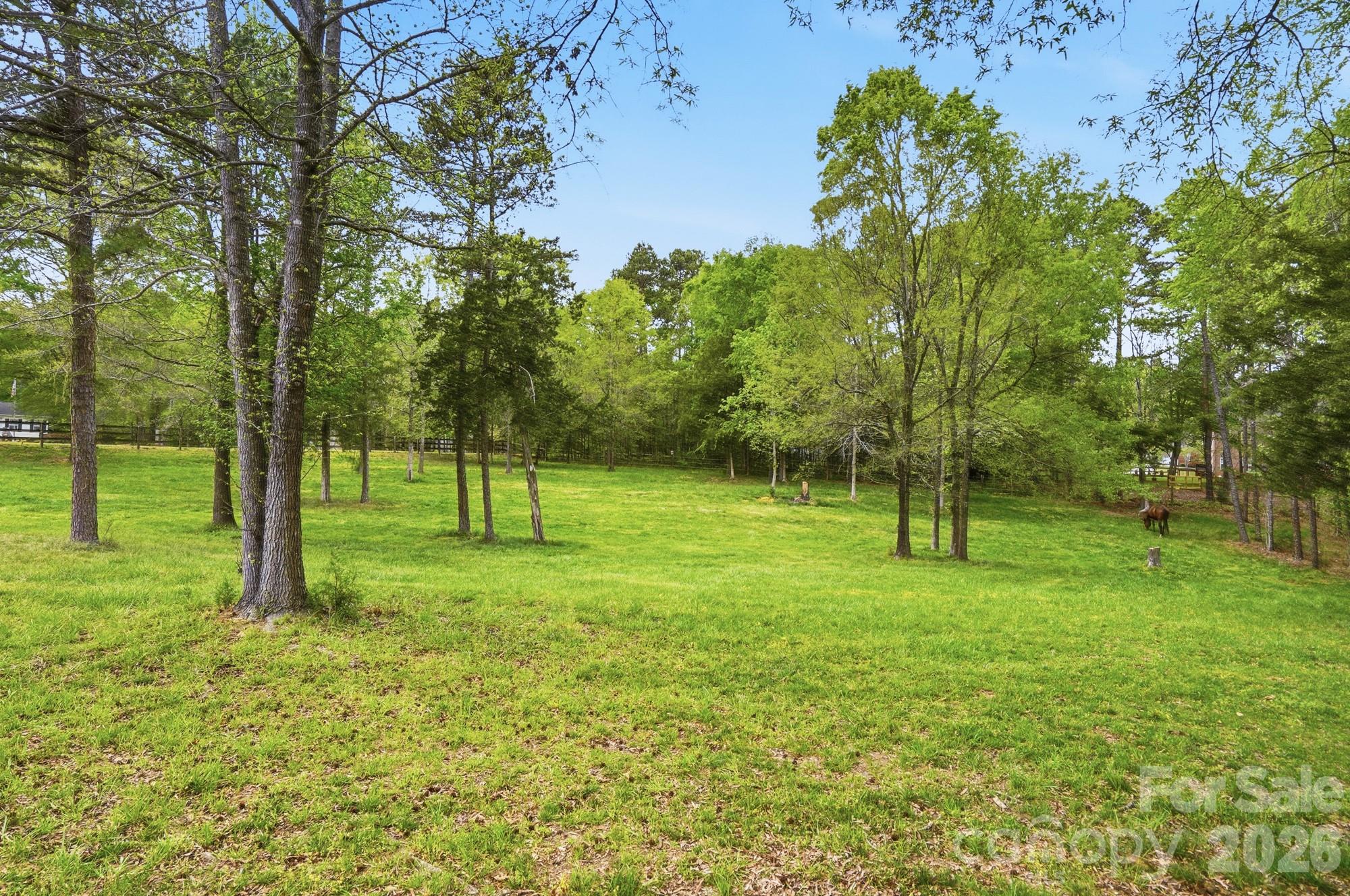 5508 McWhorter Road Waxhaw, NC 28173 - Photo 4 of 47