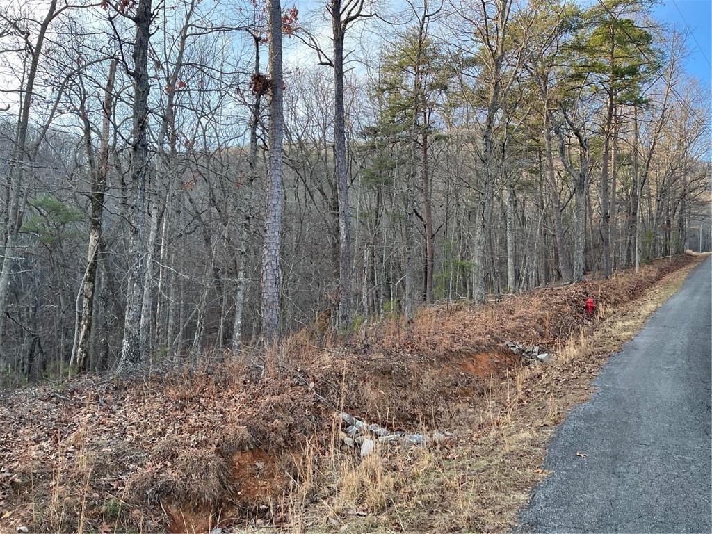 205 Sharp Top Mountain Trail Jasper, GA 30143 - Photo 4 of 6 a pathway of a yard