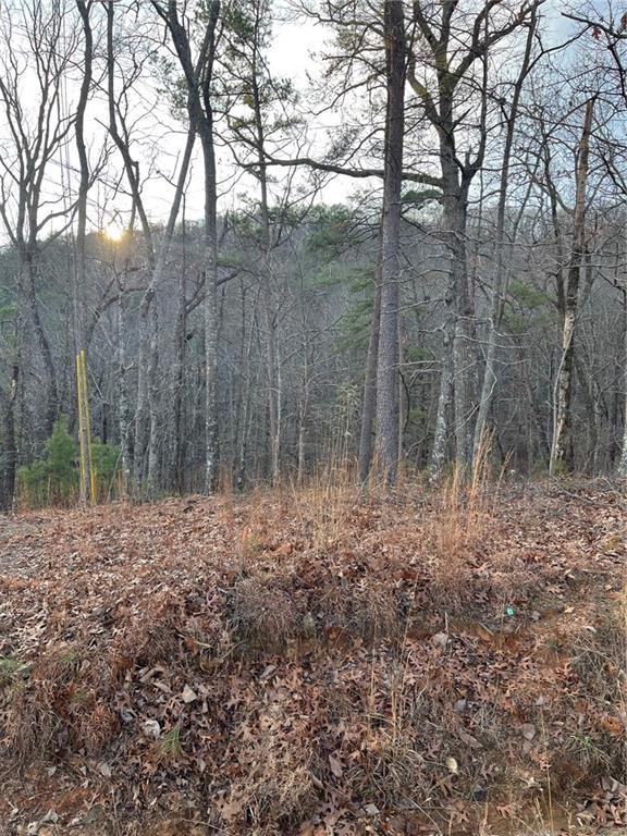 205 Sharp Top Mountain Trail Jasper, GA 30143 - Photo 6 of 6 a view of a forest with trees in the background