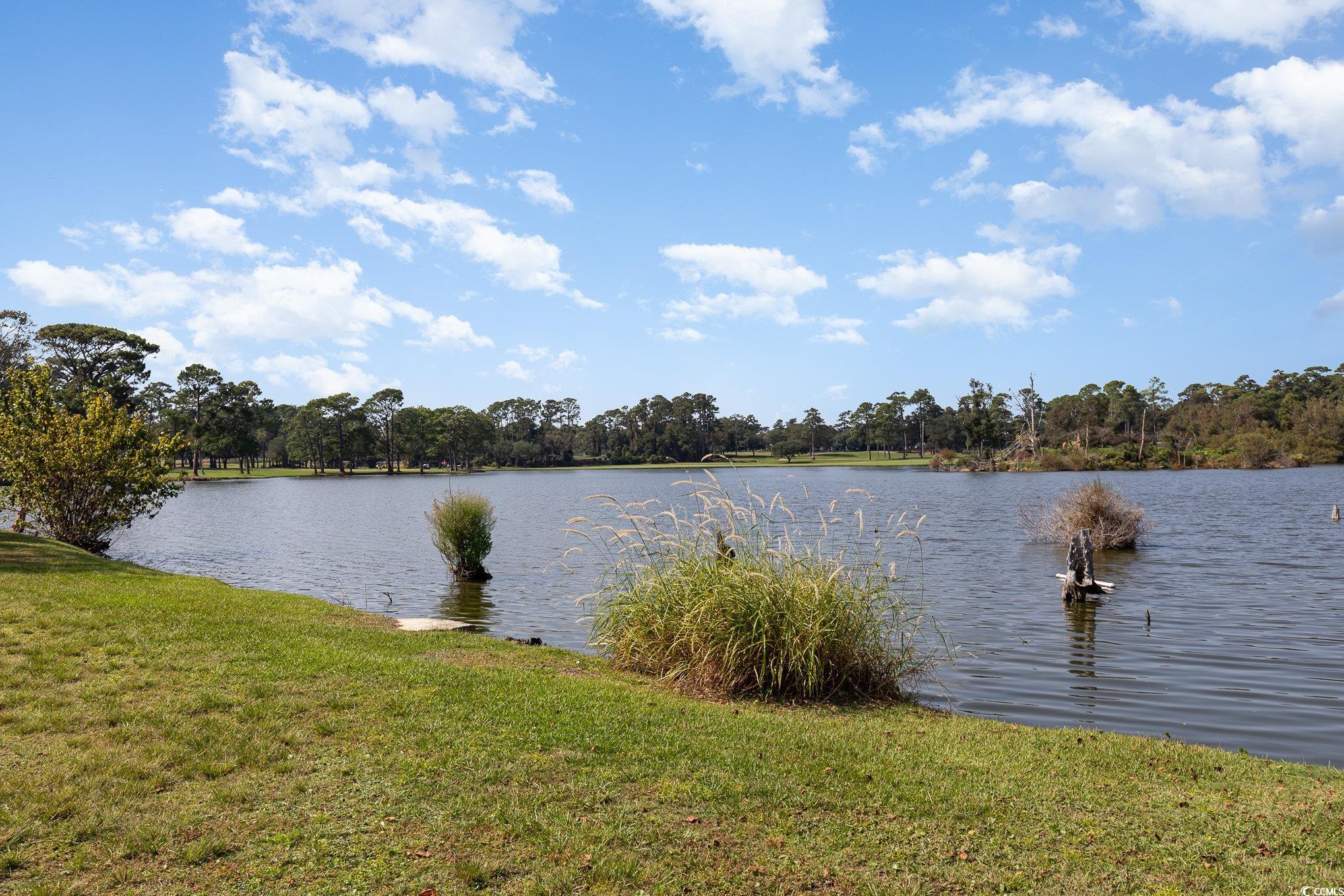 501 Maison Drive, Unit E5 Myrtle Beach, SC 29572 - Photo 24 of 39