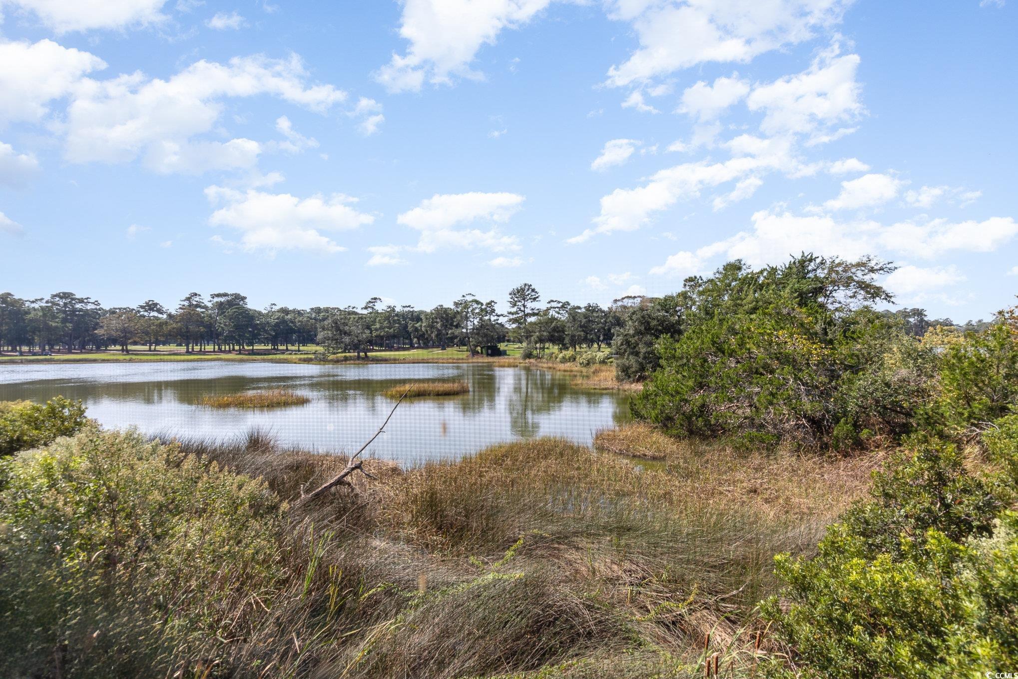 501 Maison Drive, Unit E5 Myrtle Beach, SC 29572 - Photo 25 of 39