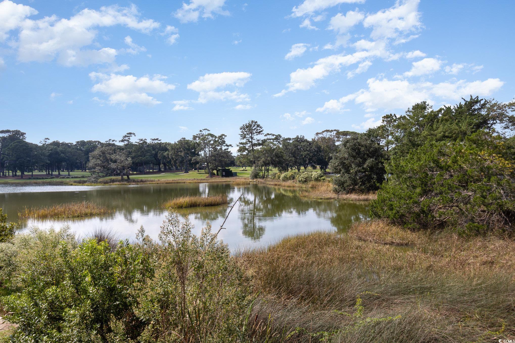 501 Maison Drive, Unit E5 Myrtle Beach, SC 29572 - Photo 35 of 39