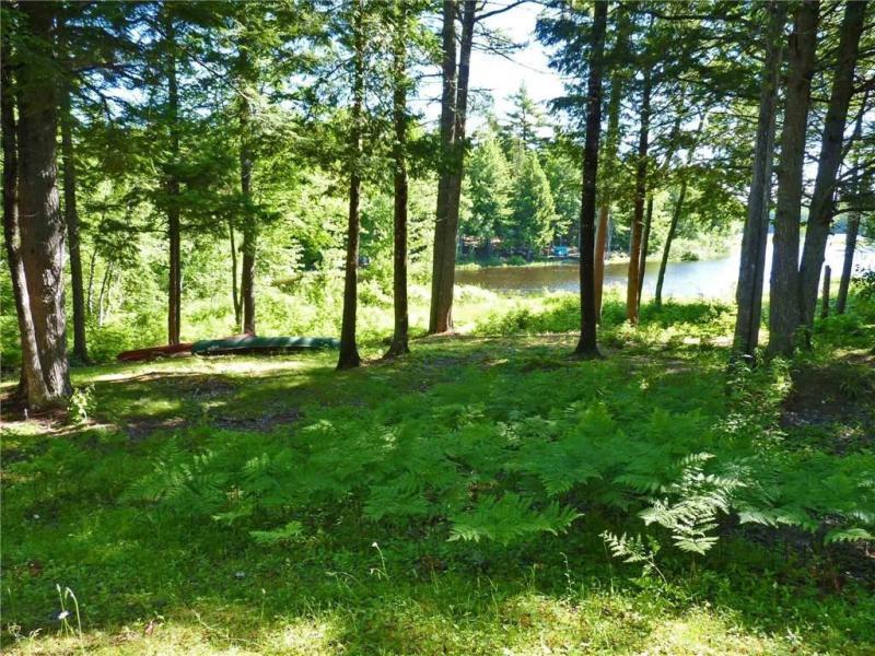 99 Silsby Road Mariaville, ME 04605 - Photo 4 of 18 Views to Graham Lake at High Water