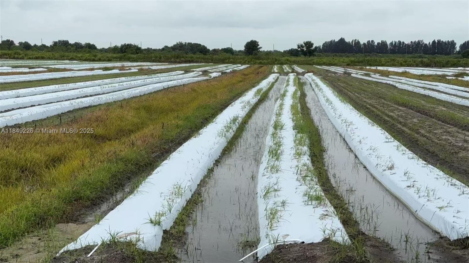 595 North Header Canal Road Fort Pierce, FL 34945 - Photo 34 of 36 a view of swimming pool with outdoor seating and lake view