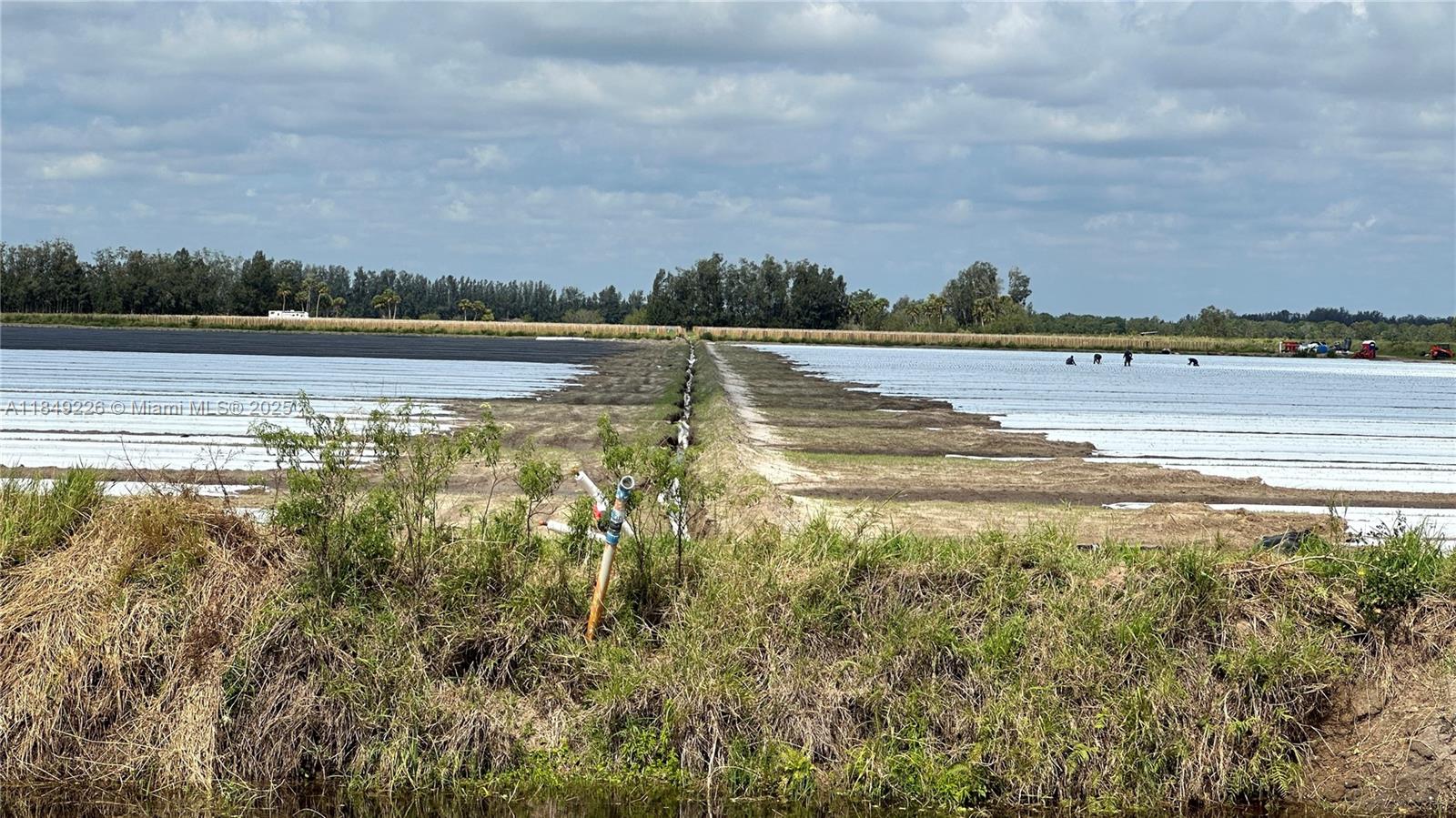 595 North Header Canal Road Fort Pierce, FL 34945 - Photo 4 of 36 a view of a lake with houses in the back
