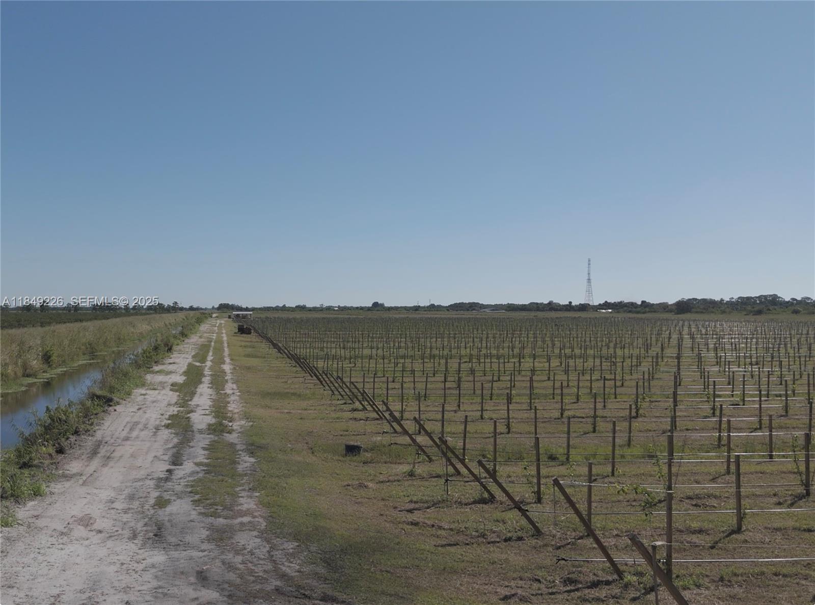 595 North Header Canal Road Fort Pierce, FL 34945 - Photo 5 of 36