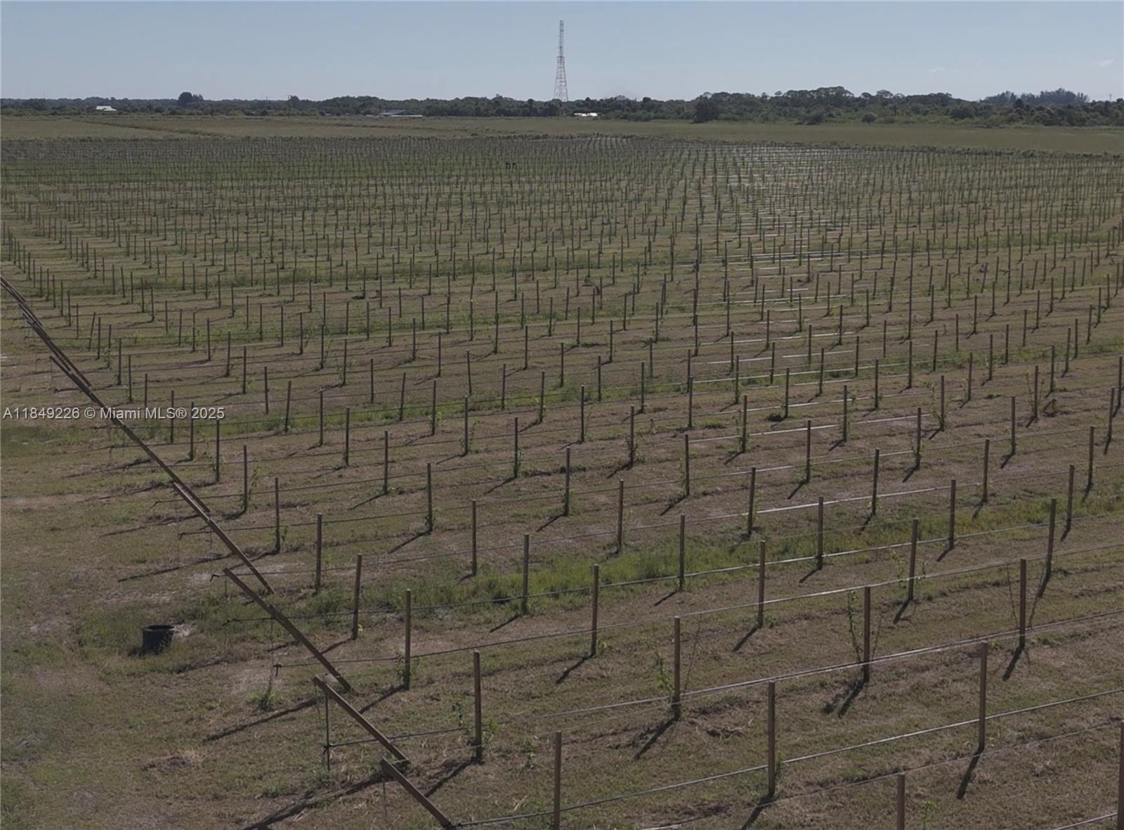 595 North Header Canal Road Fort Pierce, FL 34945 - Photo 6 of 36 a bathroom with a shower
