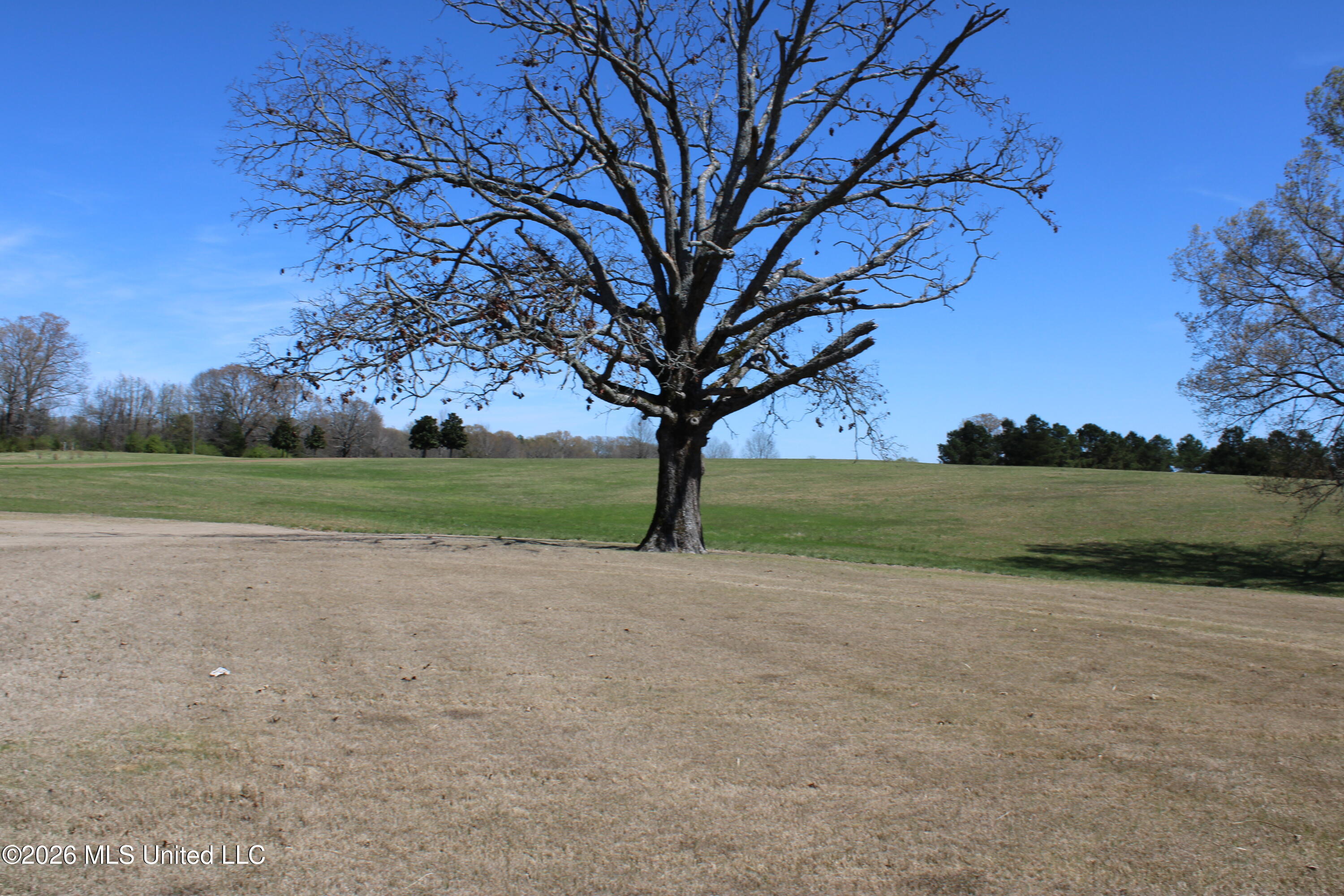 398 Crawford Road Coldwater, MS 38618 - Photo 49 of 65 IMG_5060