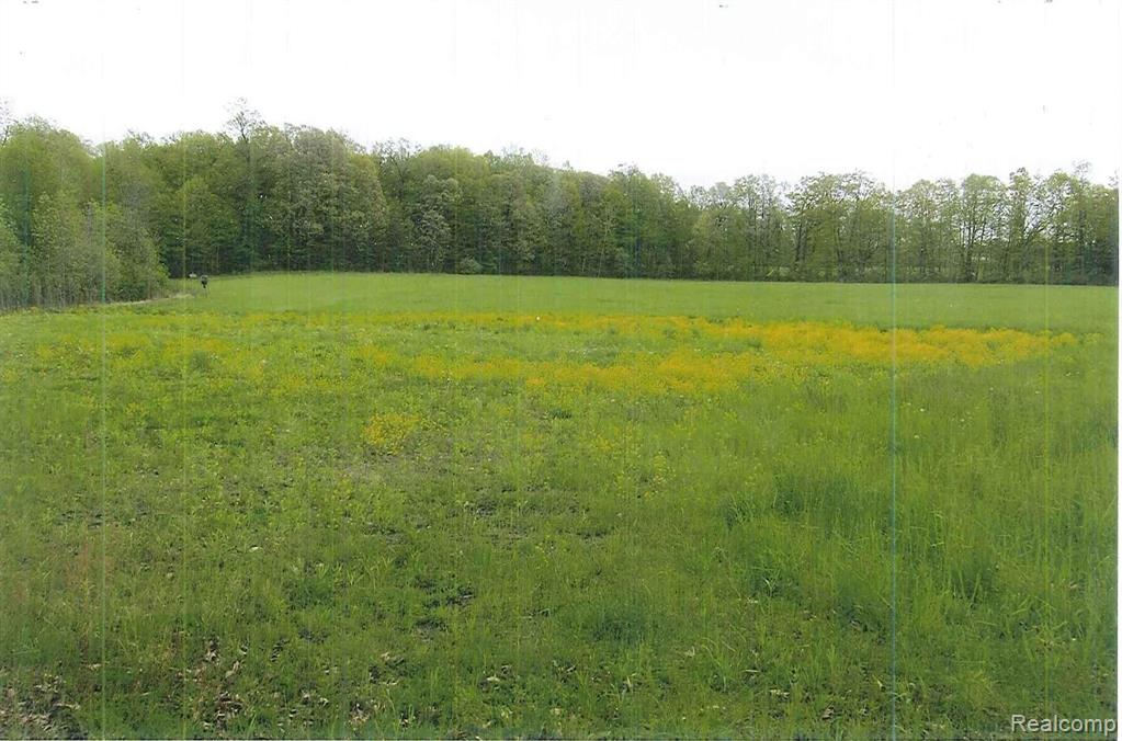 2 South Latson Road Howell, MI 48843 - Photo 4 of 8