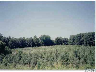 2189-1 Tyler Road Crewe, VA 23930 - Photo 1 of 1 a view of a lush green field