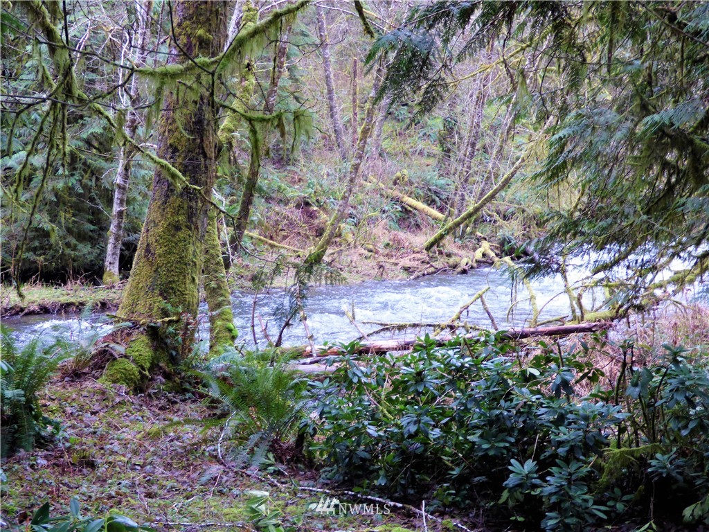 249 Mill Creek Road Longview, WA 98632 - Photo 22 of 29