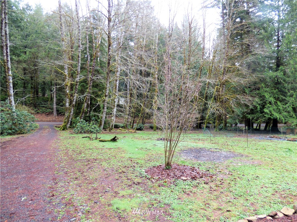 249 Mill Creek Road Longview, WA 98632 - Photo 23 of 29