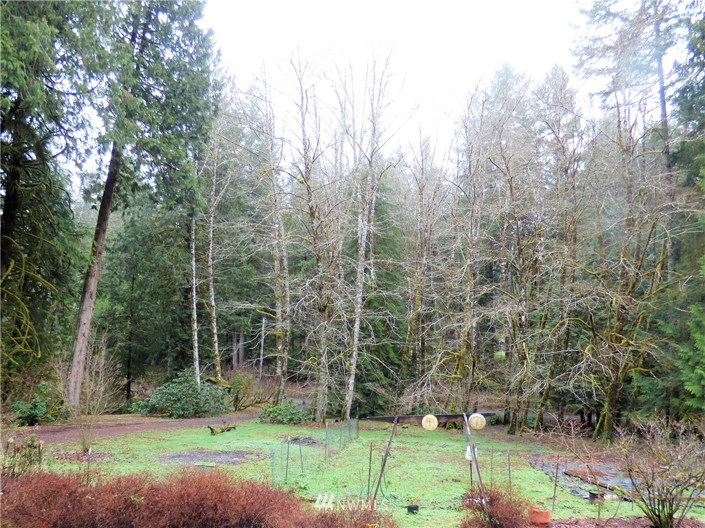 249 Mill Creek Road Longview, WA 98632 - Photo 24 of 29