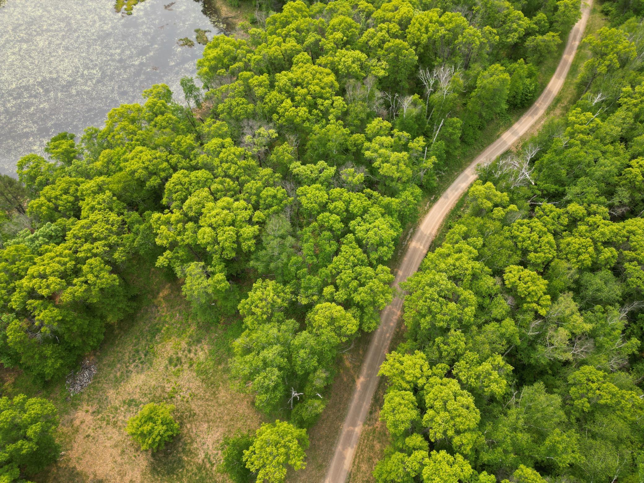 Tbd Tbd Little Bass Lake Road Baxter, MN 56425 - Photo 27 of 27