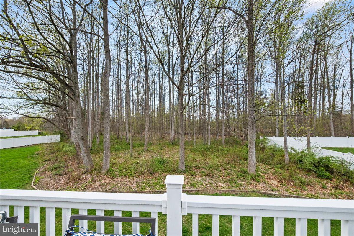 61 Homestead Drive Pemberton, NJ 08068 - Photo 38 of 40 a view of backyard with green space
