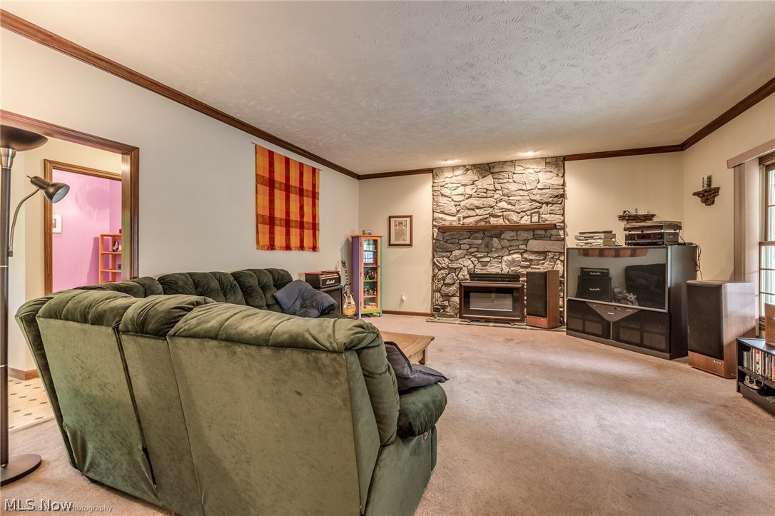 11005 Prouty Road Painesville, OH 44077 - Photo 3 of 30 Gallery Image 3