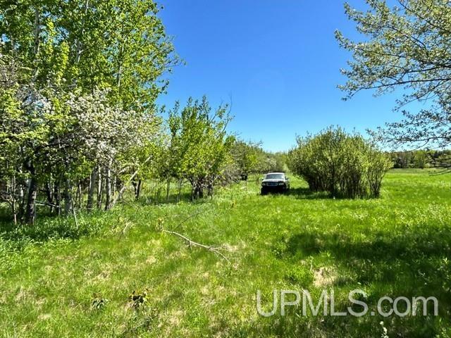 Tbd Tbd Bellaire Road Baraga, MI 49908 - Photo 46 of 49