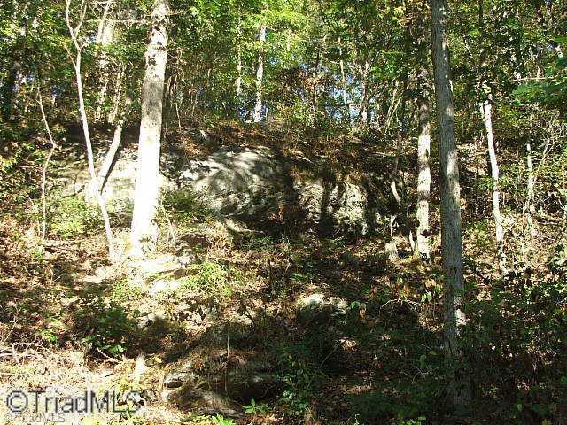 22 Mission Road Danbury, NC 27016 - Photo 7 of 15 Other. Bluff over looking river, Lot 22