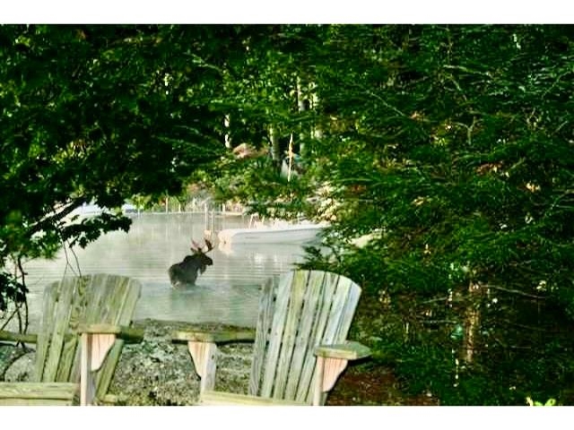 28 Veasey Shore Road Meredith, NH 03253 - Photo 58 of 60