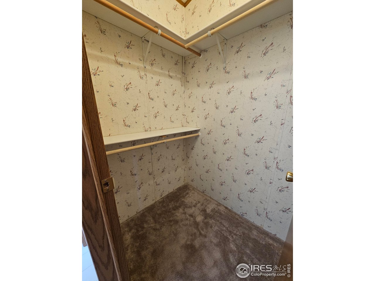 48 Sinisippi Road Red Feather Lakes, CO 80545 - Photo 12 of 31 Walk-In Closet