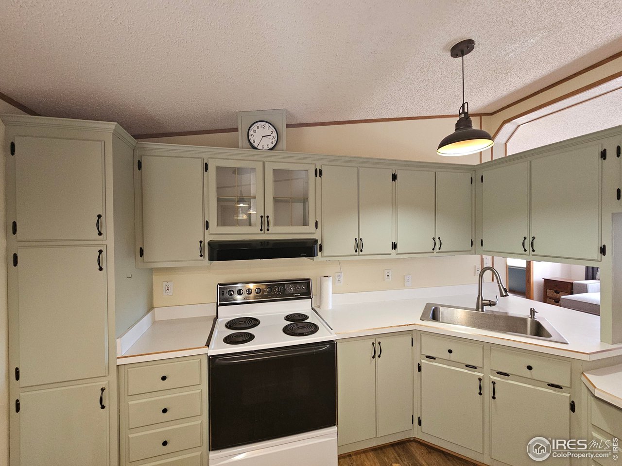 48 Sinisippi Road Red Feather Lakes, CO 80545 - Photo 7 of 31 Kitchen