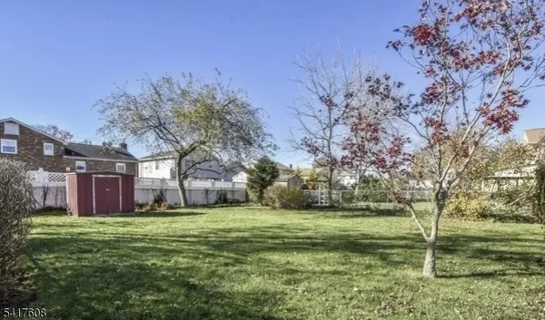 a garden view with large trees