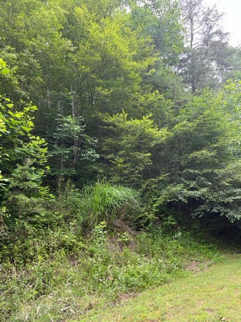 4562 Crane Creek Road, Unit PARCEL #2 Manchester, KY 40962 - Photo 14 of 18 IMG_9535