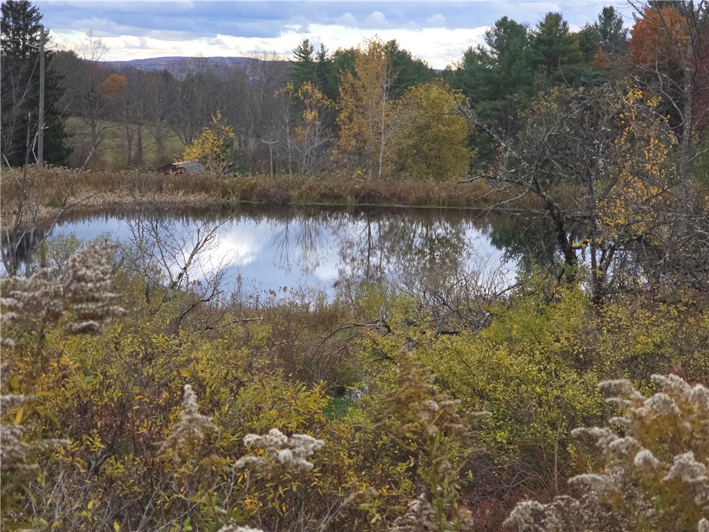 Hardknocks Road Unadilla, NY 13849 - Photo 14 of 16