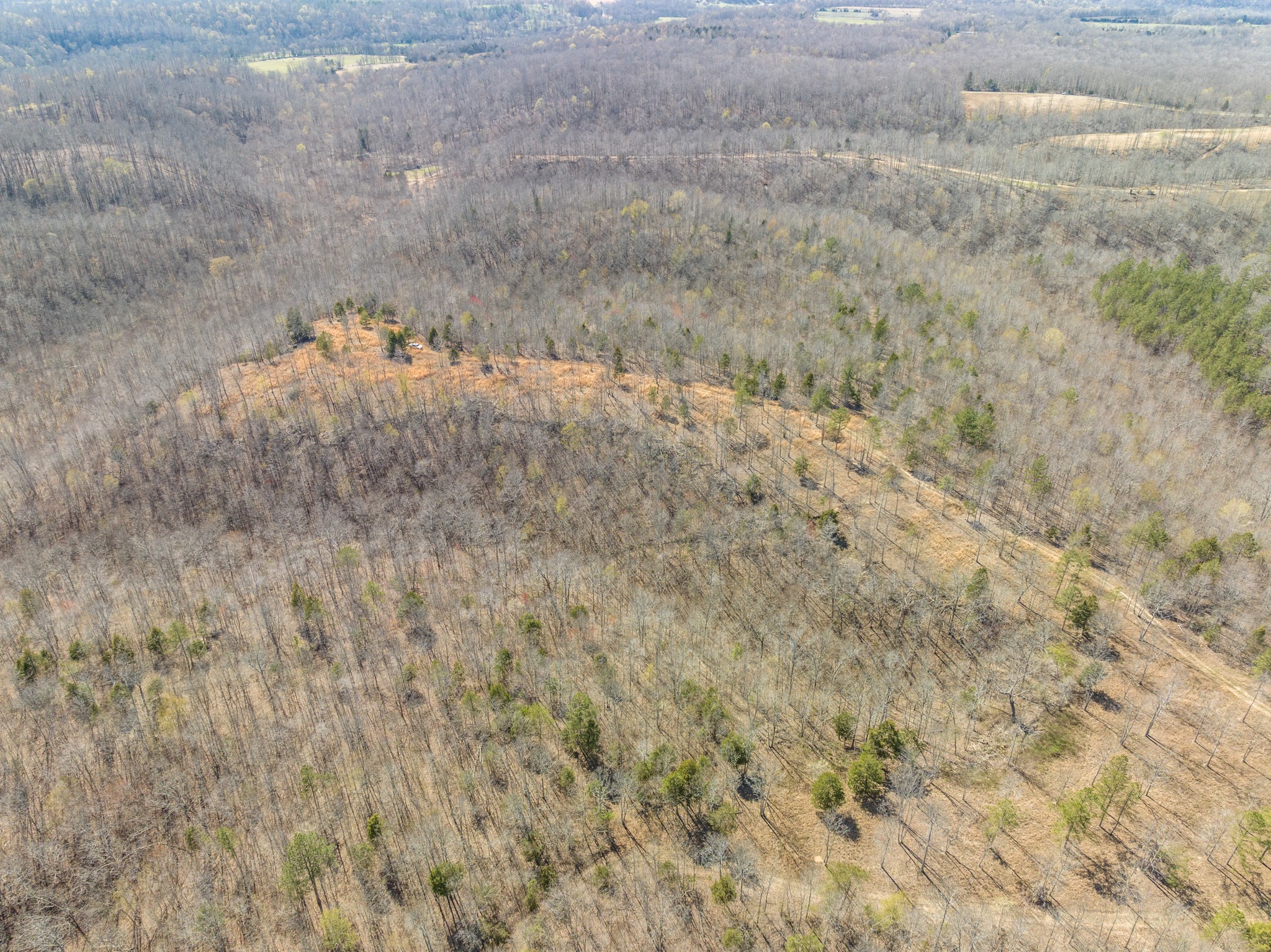 0 9 9 Mile Ridge Road Duck River, TN 38454 - Photo 54 of 66 Gallery Image 54