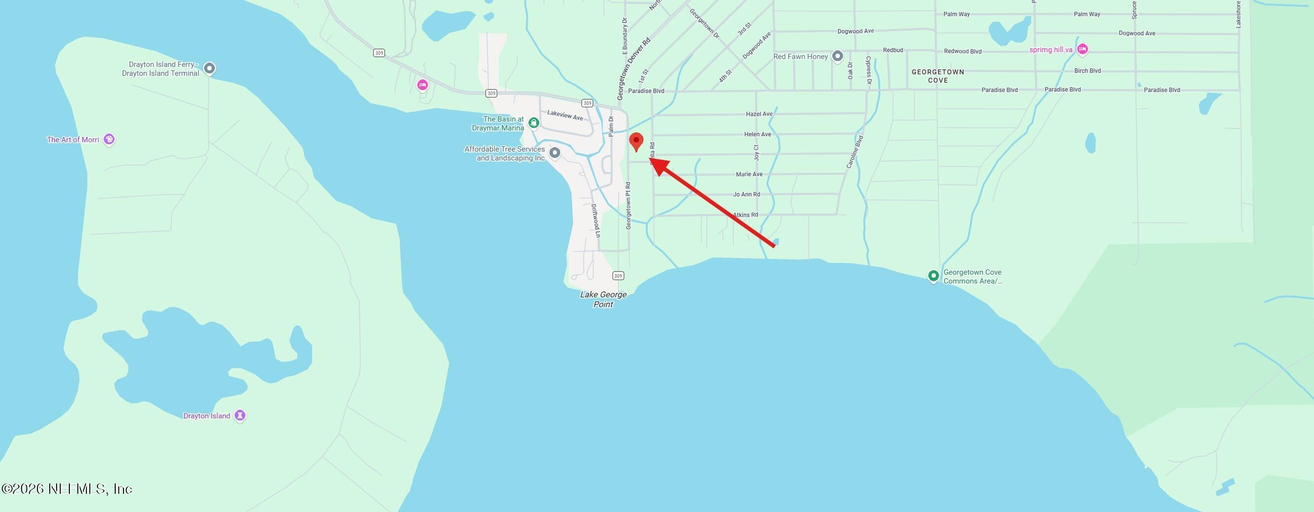 16 Georgetown Pt Road Georgetown, FL 32139 - Photo 5 of 6 04