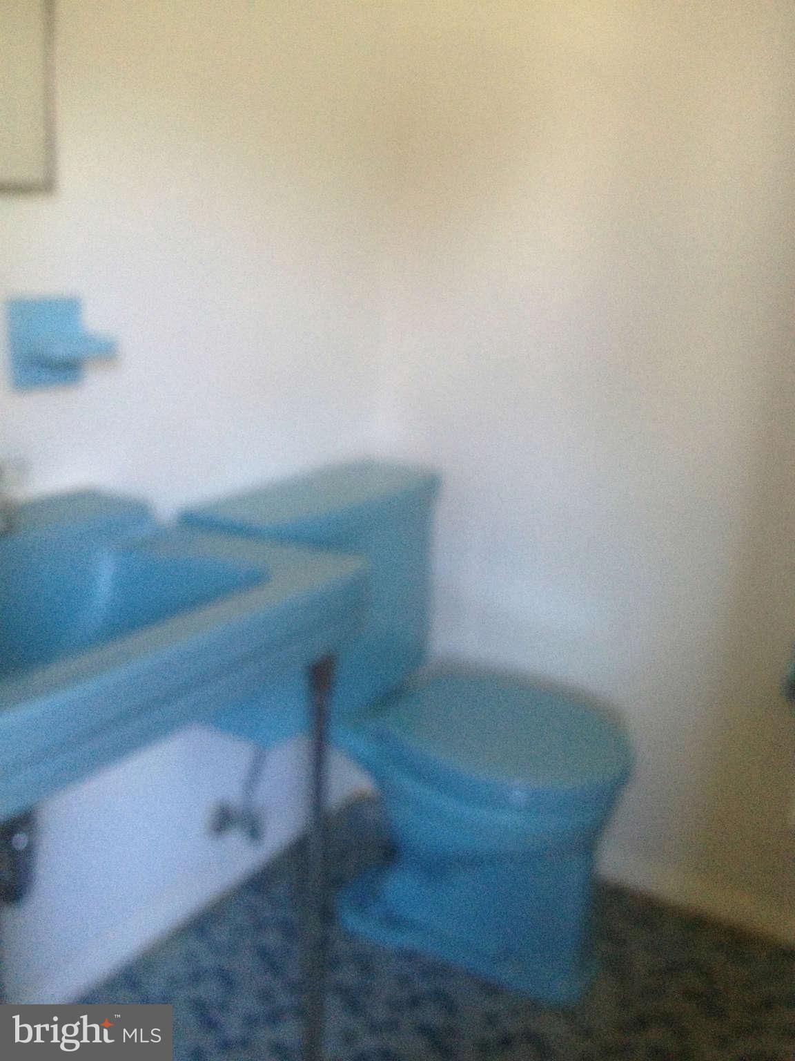 9012 Perring Park Road Baltimore, MD 21234 - Photo 12 of 25 Bath (Master)
