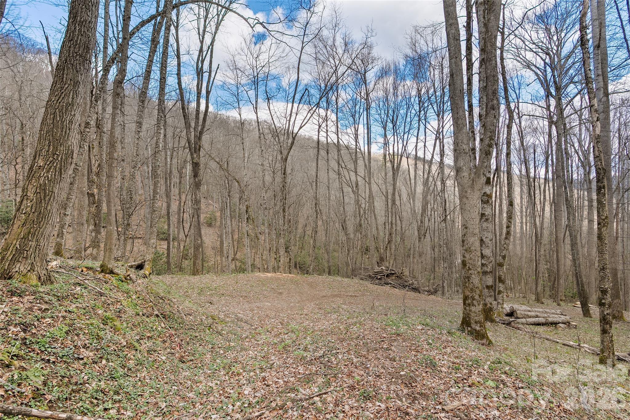 23 Forbidden Cove Waynesville, NC 28785 - Photo 1 of 18 a view of wooden fence